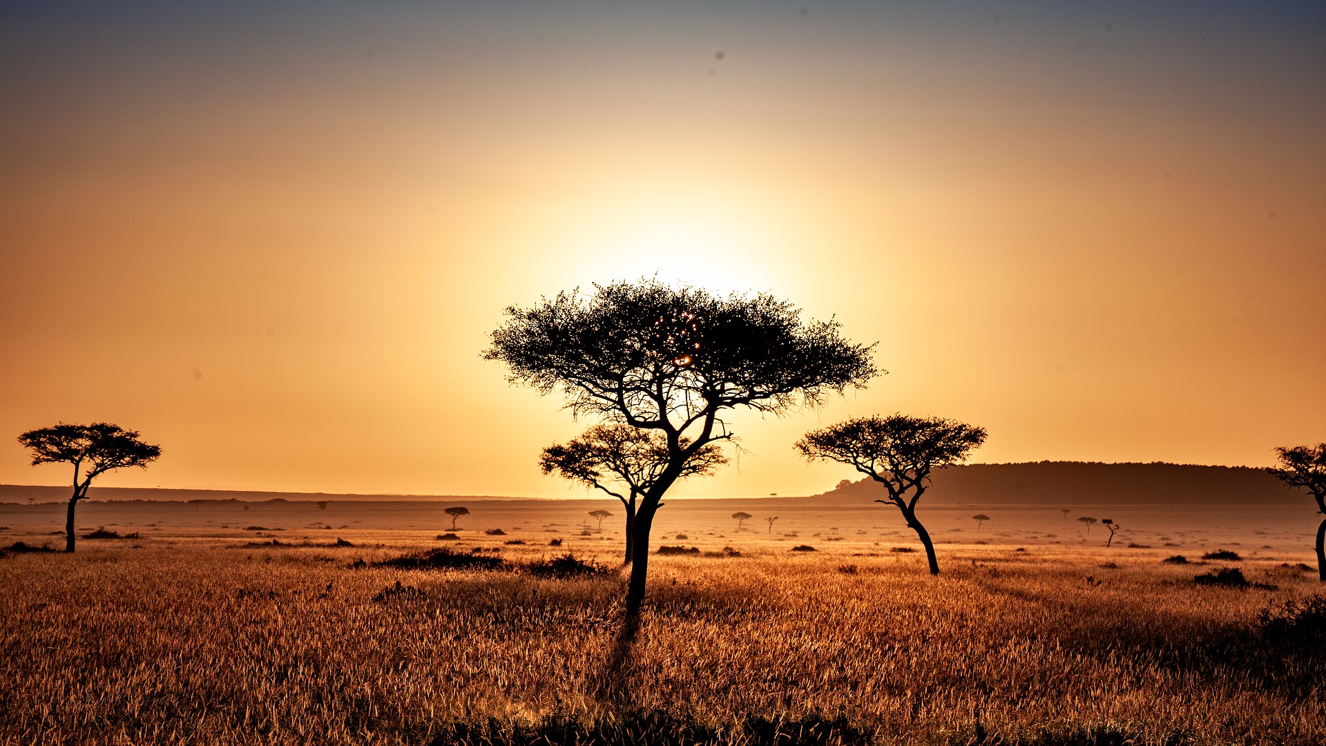 Must Visit Destinations in Kenya by Peter Ongera