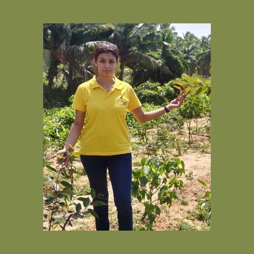 Grow-Trees: Promoting Responsible Corporate Social Responsibility