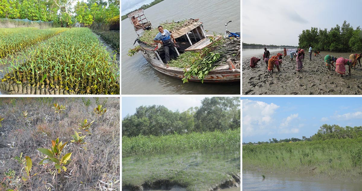 On Earth Day, a social enterprise prepares to plant 7 million saplings during the pandemic