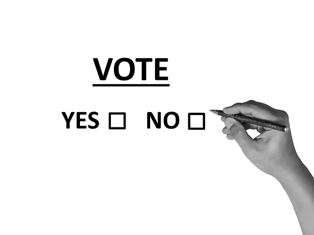 The Power of your Vote | Slender Victory Margins