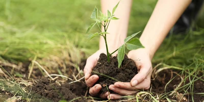 A thriving environment should be a human right but are we doing enough to protect it?