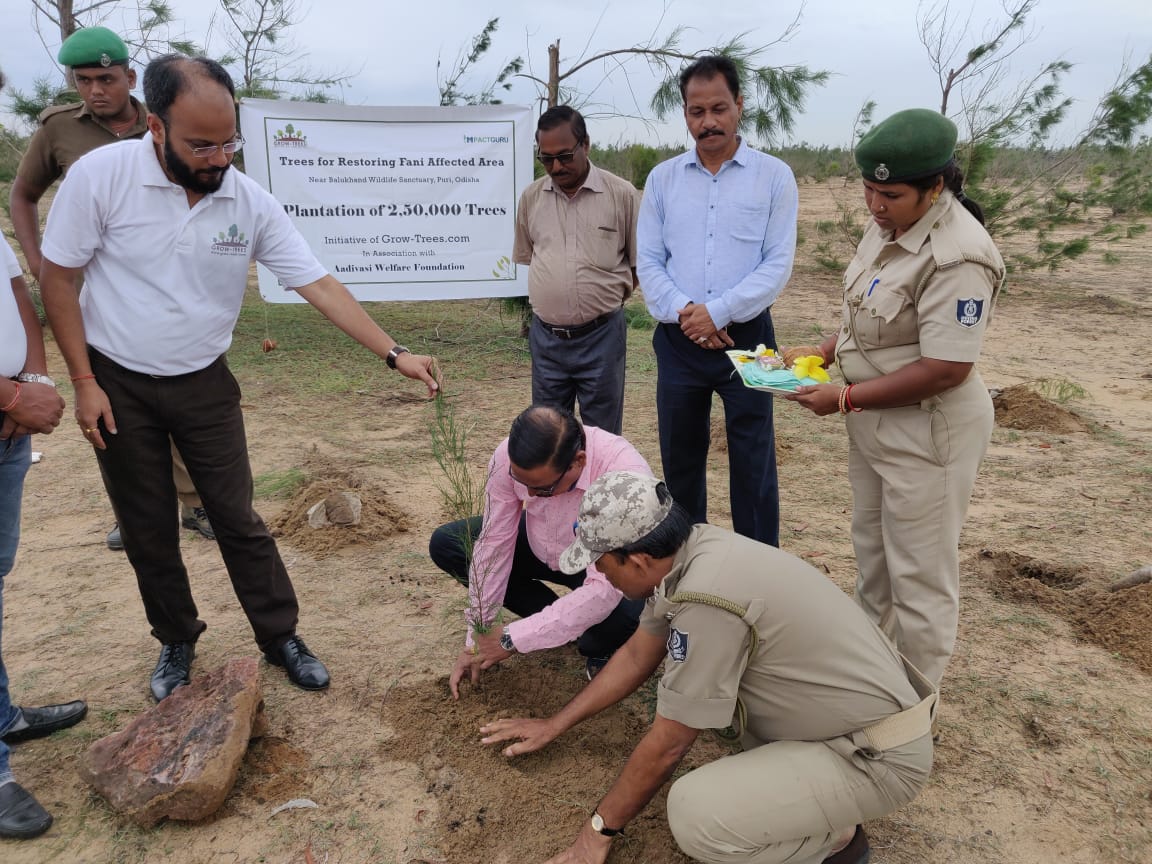 Grow-Trees.com endorses proactive synergy to protect the environment on the occasion of World Environment Day