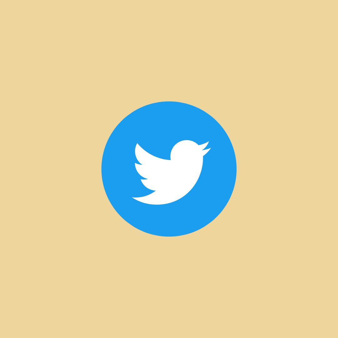 All you need to know about Twitter $8 Verification