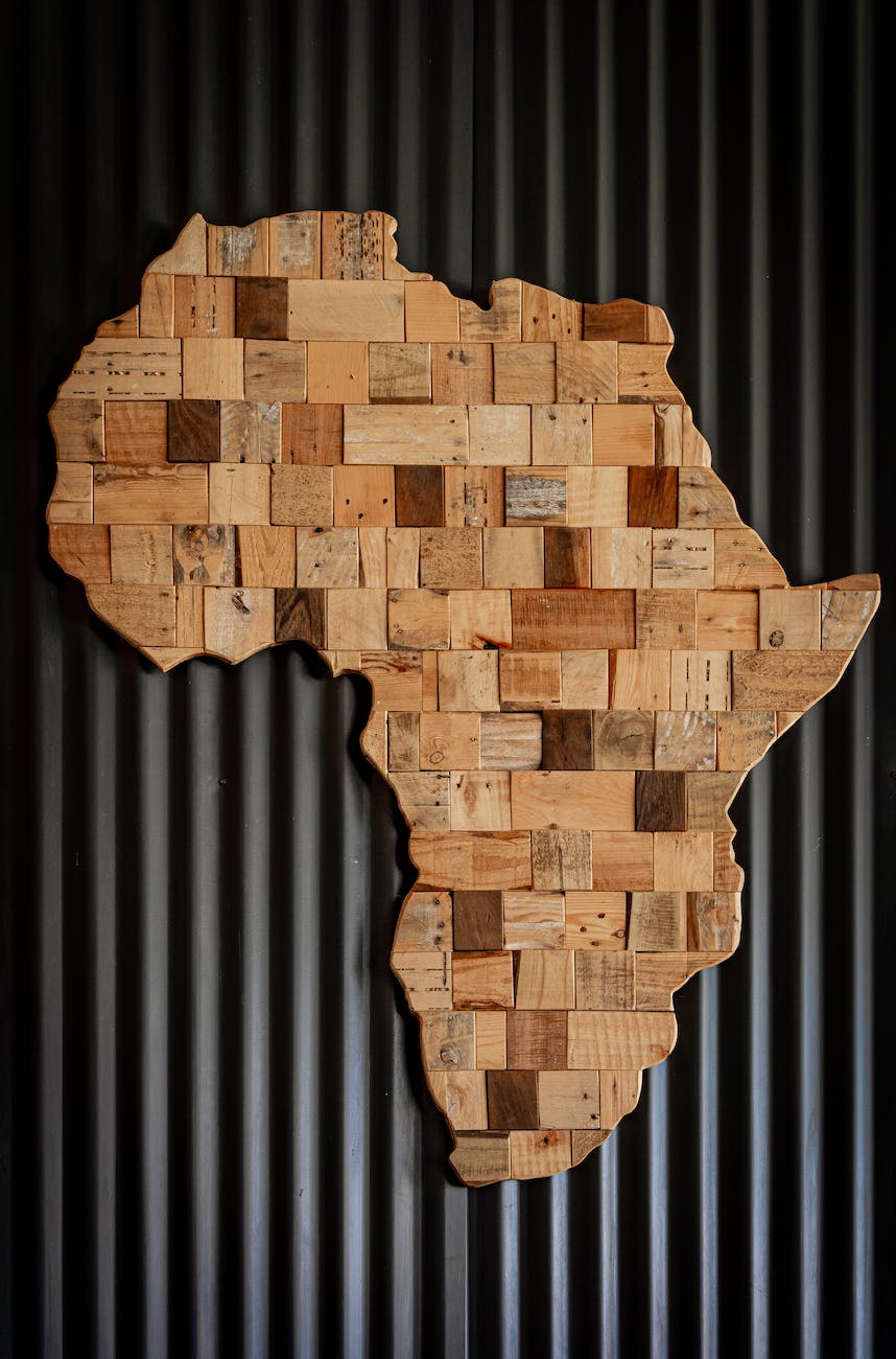 Pushing the sustainability Agenda in Africa